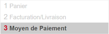 Validez les étapes du panier et de la facturation/livraison avant de finaliser votre panier.