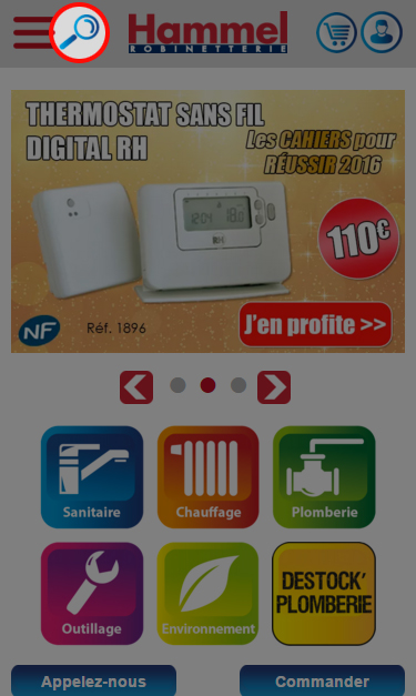 Cliquez sur la loupe pour effectuer une recherche.