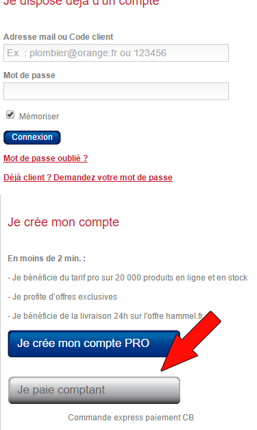 Sélectionnez le paiement comptant puis suivez les instructions.