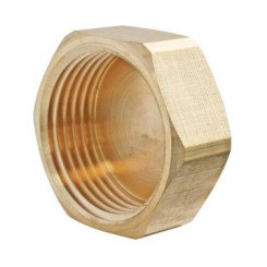 Poche de 2 bouchons laiton brut femelle 15/21