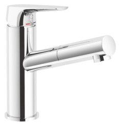 Mitigeur de lavabo avec douchette Ev'O C2 