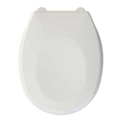 ABATTANT DOUBLE THERMODUR BRISTOL - AQUARINE