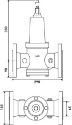 Réducteur de pression à brides DRVD DN 65 - WATTS