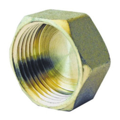 Bouchon laiton brut femelle 50/60 - 300