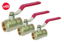 Colis de 40 vannes V490 double femelle