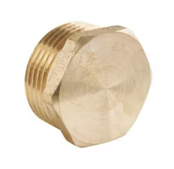 Poche de 2 bouchons laiton brut mâle 12/17