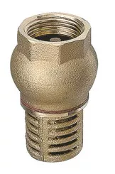 Crépine laiton pour eau à clapet guide F40/49