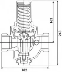 Régulateur de pression à membrane double femelle 40/49