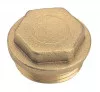 Bouchon laiton brut mâle 15/21 - 292