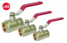 Colis de 40 vannes V490 double femelle