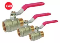 Colis de 40 vannes V490 mâle femelle
