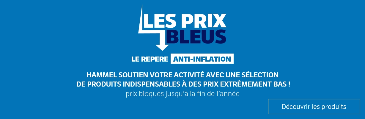 Prixbleus-texte