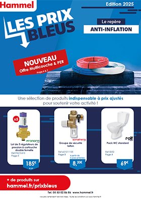PRIX BLEUS