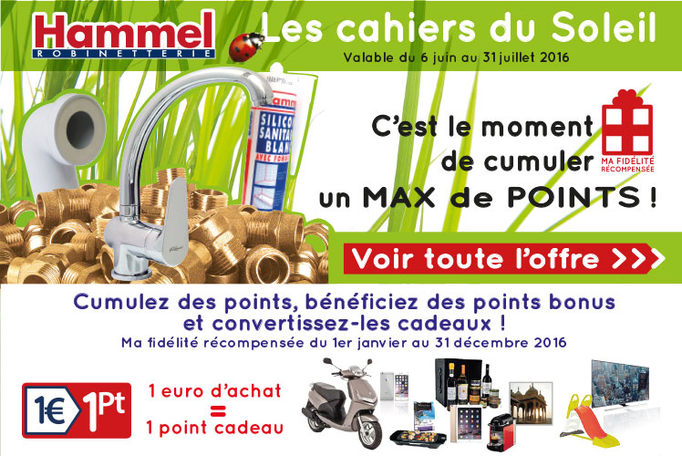 Robinettes coupons