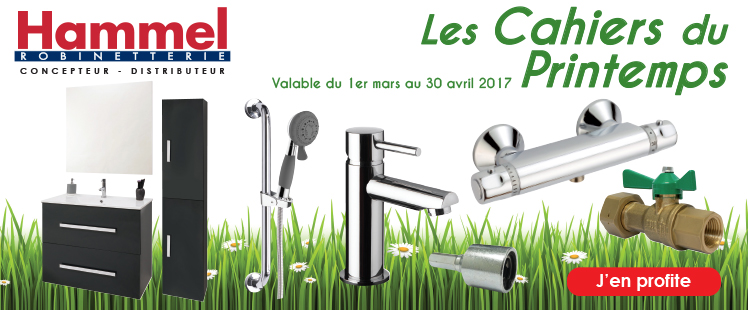 Robinettes coupons