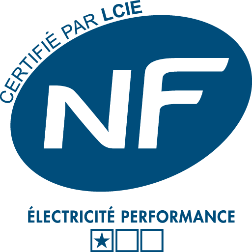 Logo/NF-electricite-perf1_logo