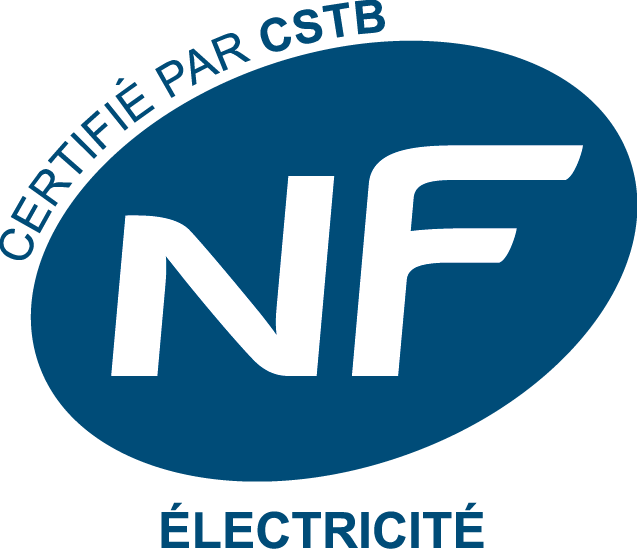 Logo/NF-electricite_logo