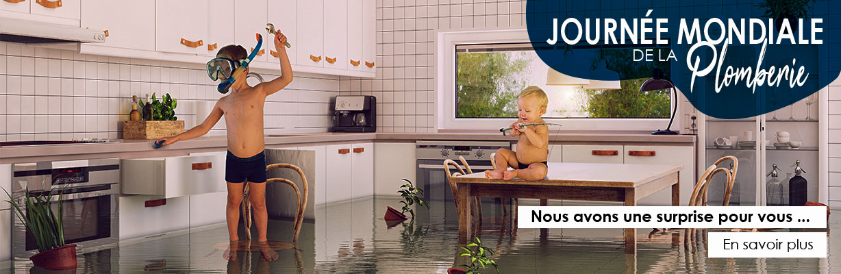 Journée mondiale de la plomberie