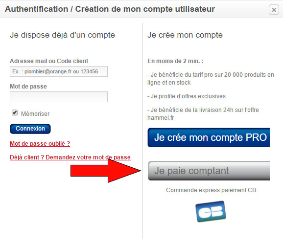 Sélectionnez le paiement comptant puis suivez les instructions.